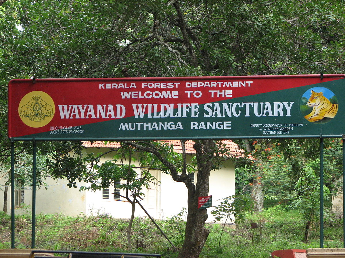 Wayanad-wild-life-sanctuary