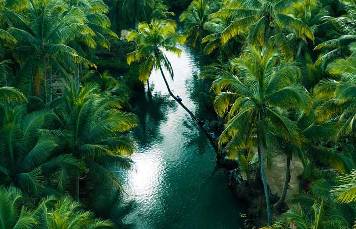 A Comprehensive Guide to Kerala Tour Packages: Explore God's Own Country