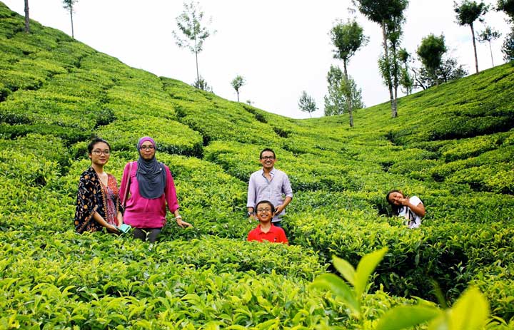 Travelling to Kerala with Your Family: A guide that talks about great places to visit in Kerala with your family