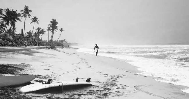 Kerala's Beaches and Beyond: A Sun, Sand, and Sea Vacation