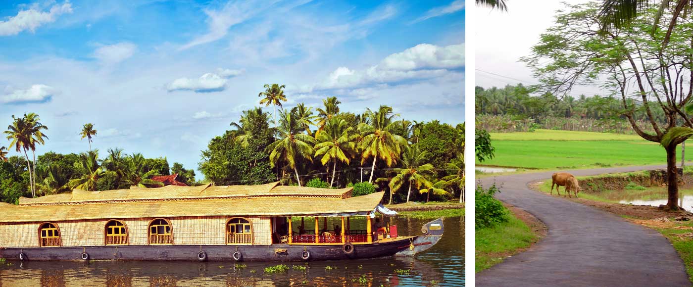 What Should Be Done In Kerala Tour