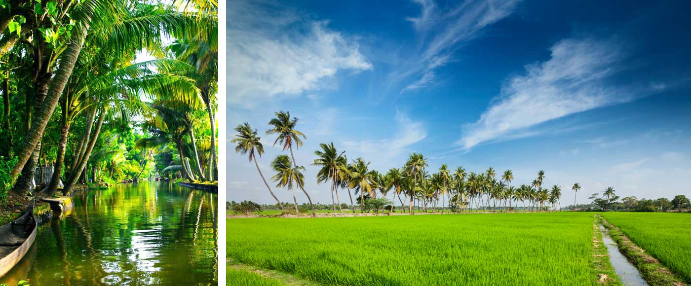 How much does a Kerala tour cost