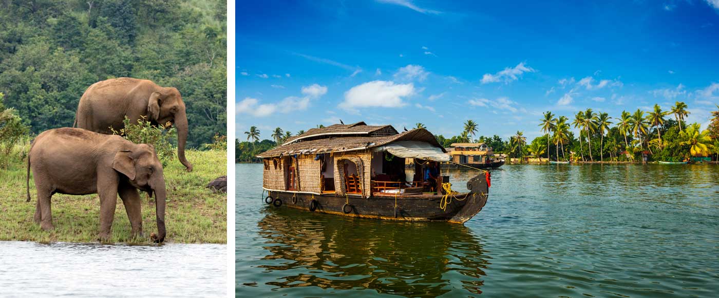 Which are the best tour packages for Kerala