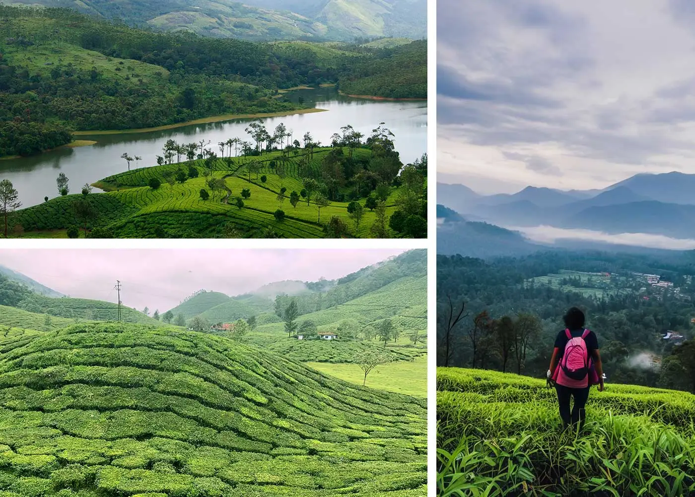 Kerala's Hidden Gems in the Western Ghats: A Comprehensive Traveller's Guide for a Memorable Kerala Trip