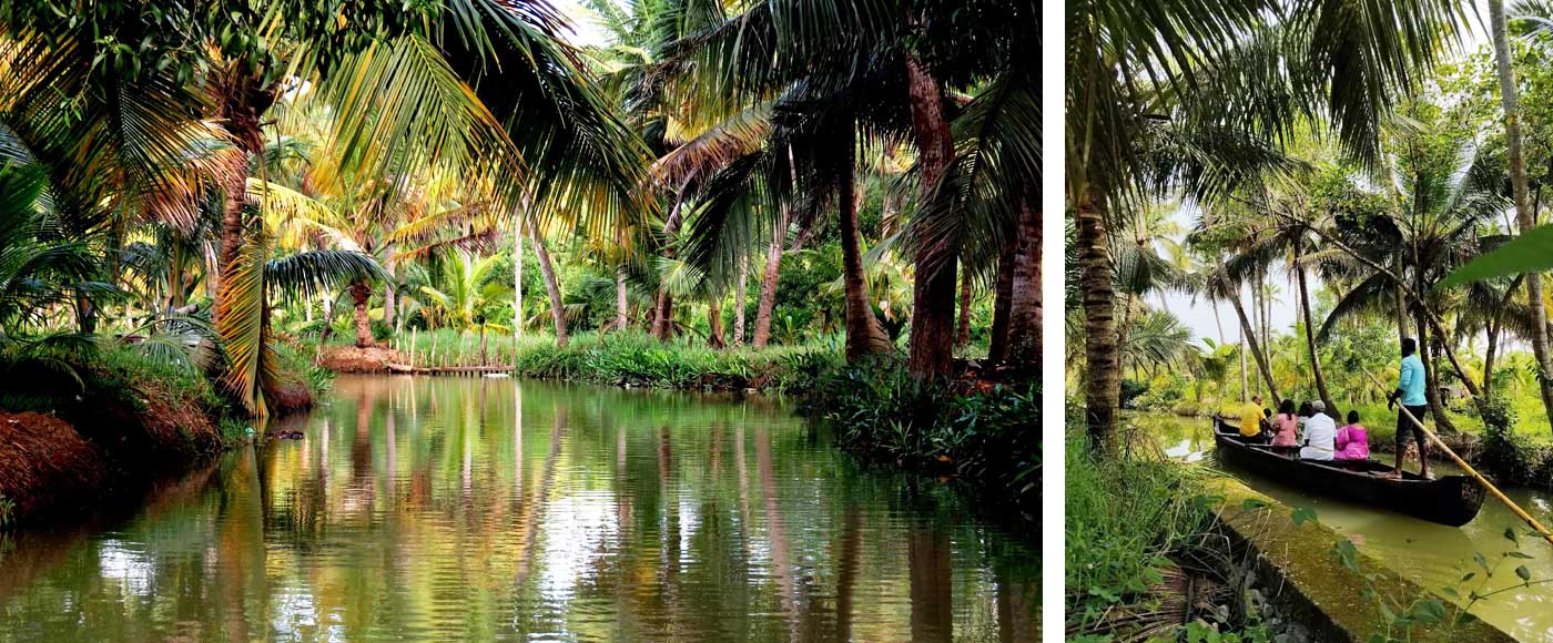 Exploring the Unexplored: 11 Offbeat Destinations in Kerala for Your Next Kerala Trip