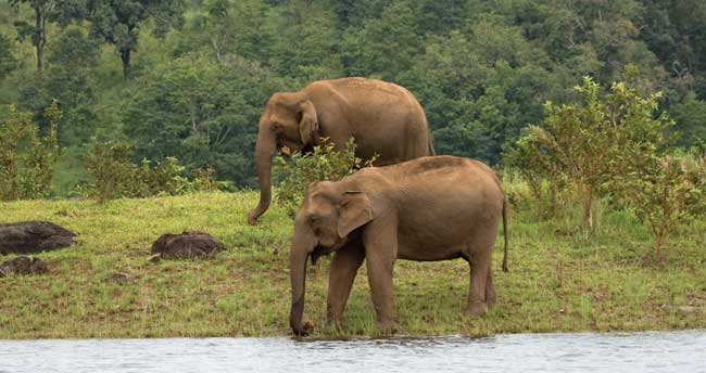 Which places should I visit in Thekkady?