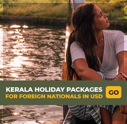 Kerala Holiday Packages for Foreign Nationals