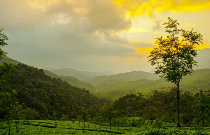Kerala Tour Packages 2023 from Chennai