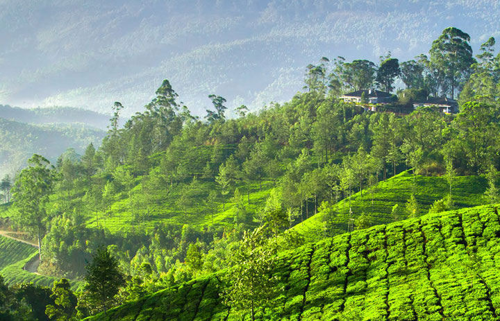 Kerala Tour Packages 2023 from Pune