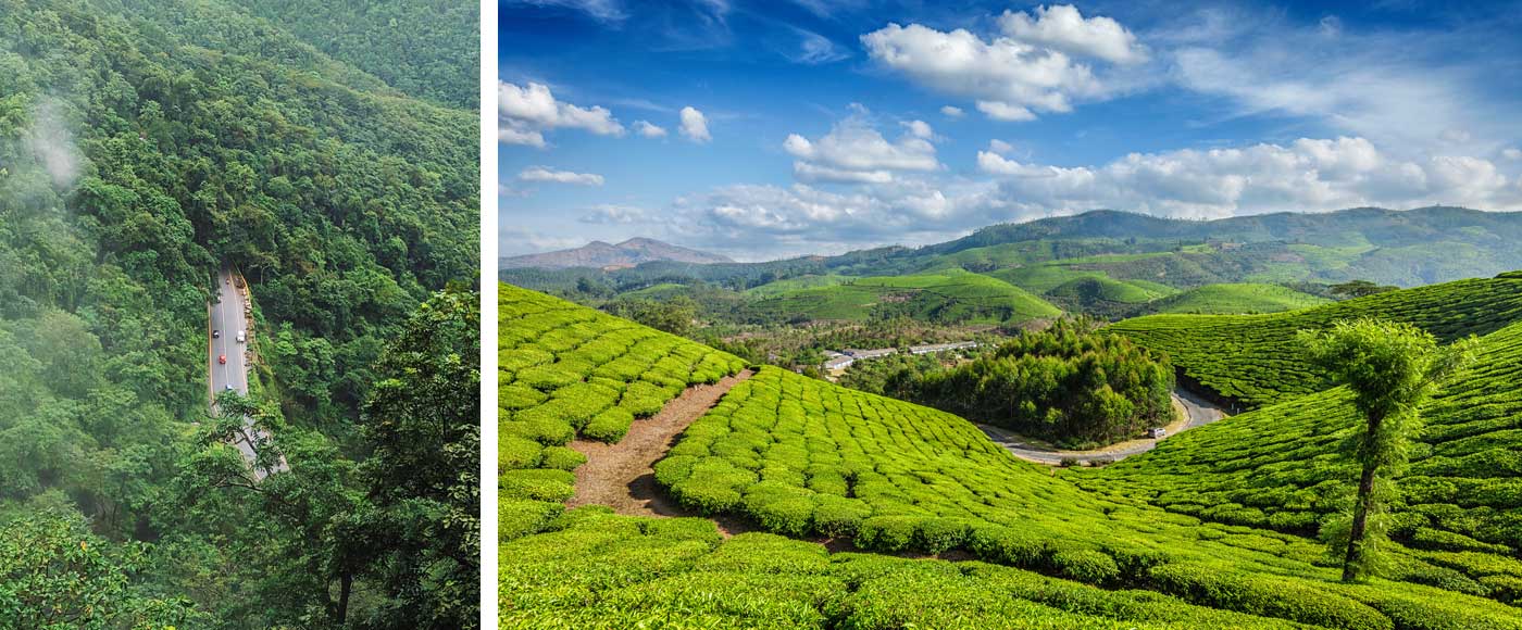 wayanad munnar honeymoon