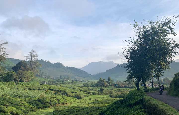 blog top 5 honeymoon spots in kerala