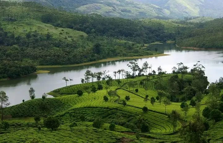 munnar-lake-view