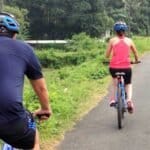 blog what are the most popular vacation packages in kerala