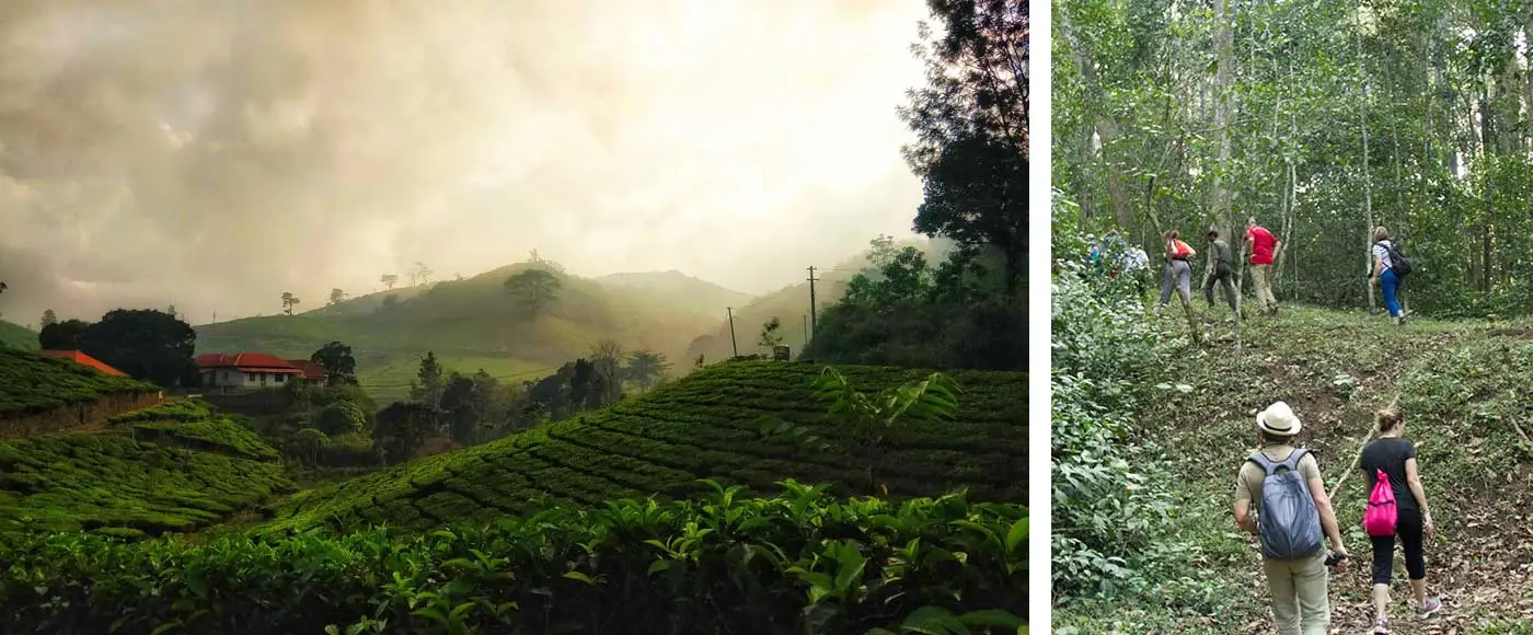 Munnar view Monsoon tourism in Munnar and Thekkady