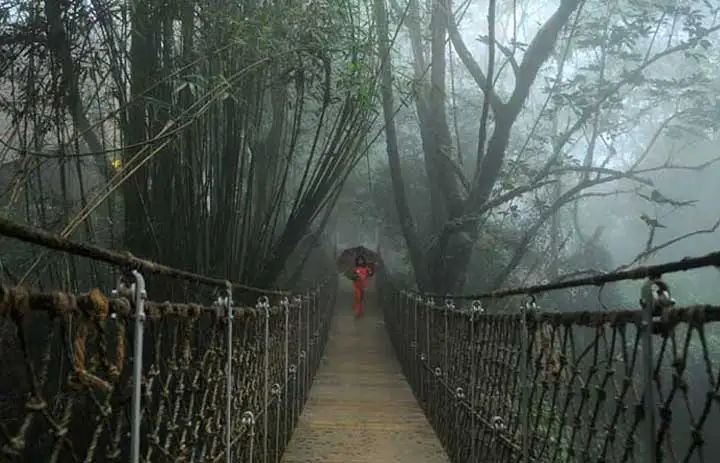 wayanad2