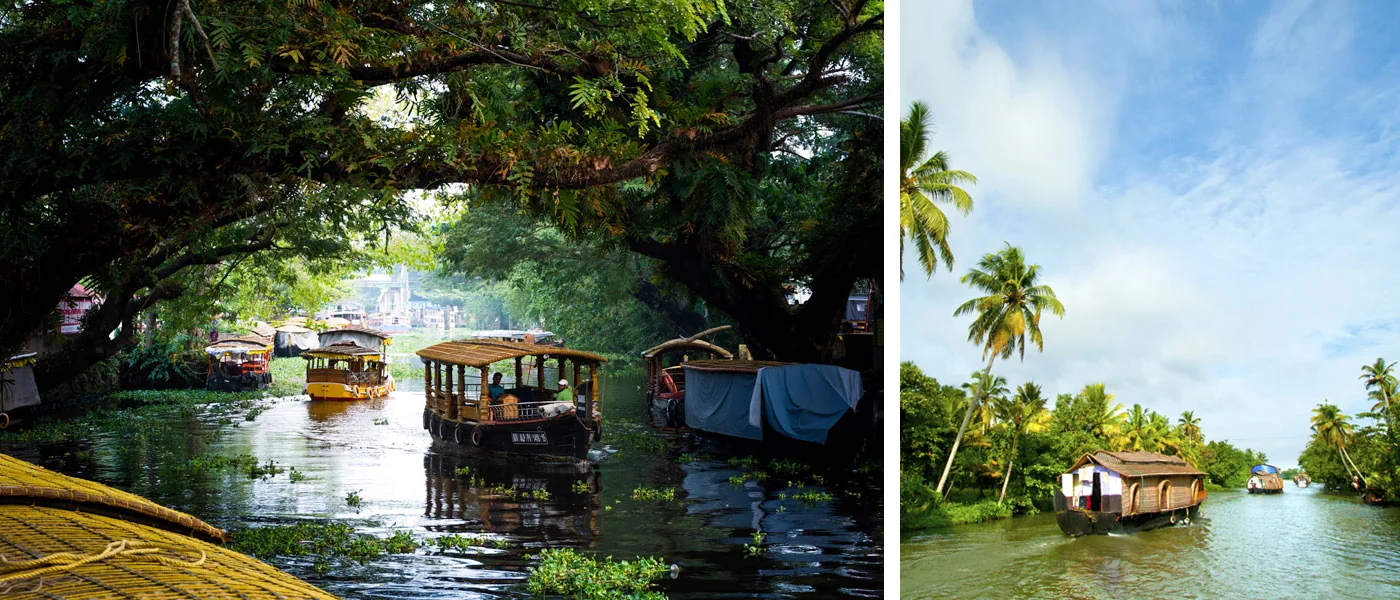 alleppey lake
