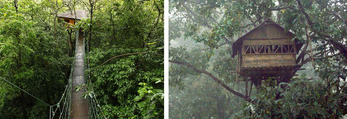 Wayanad