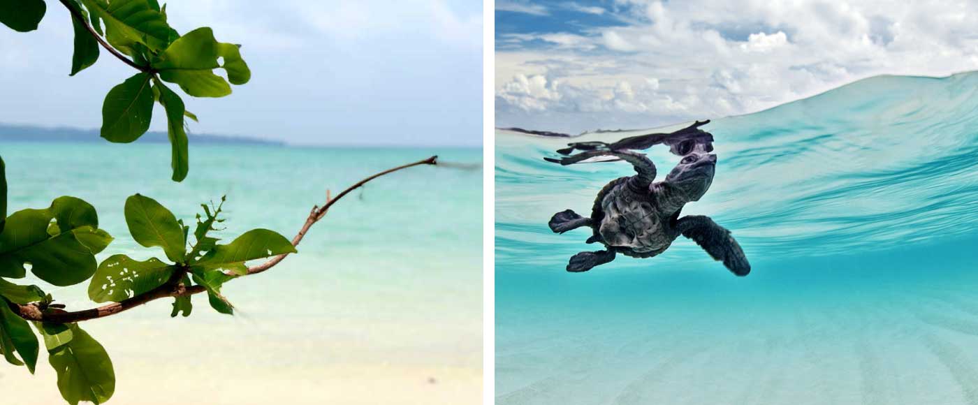 Andaman Island Tour