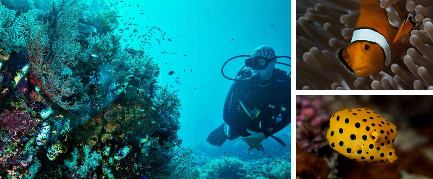Andaman Island Tour