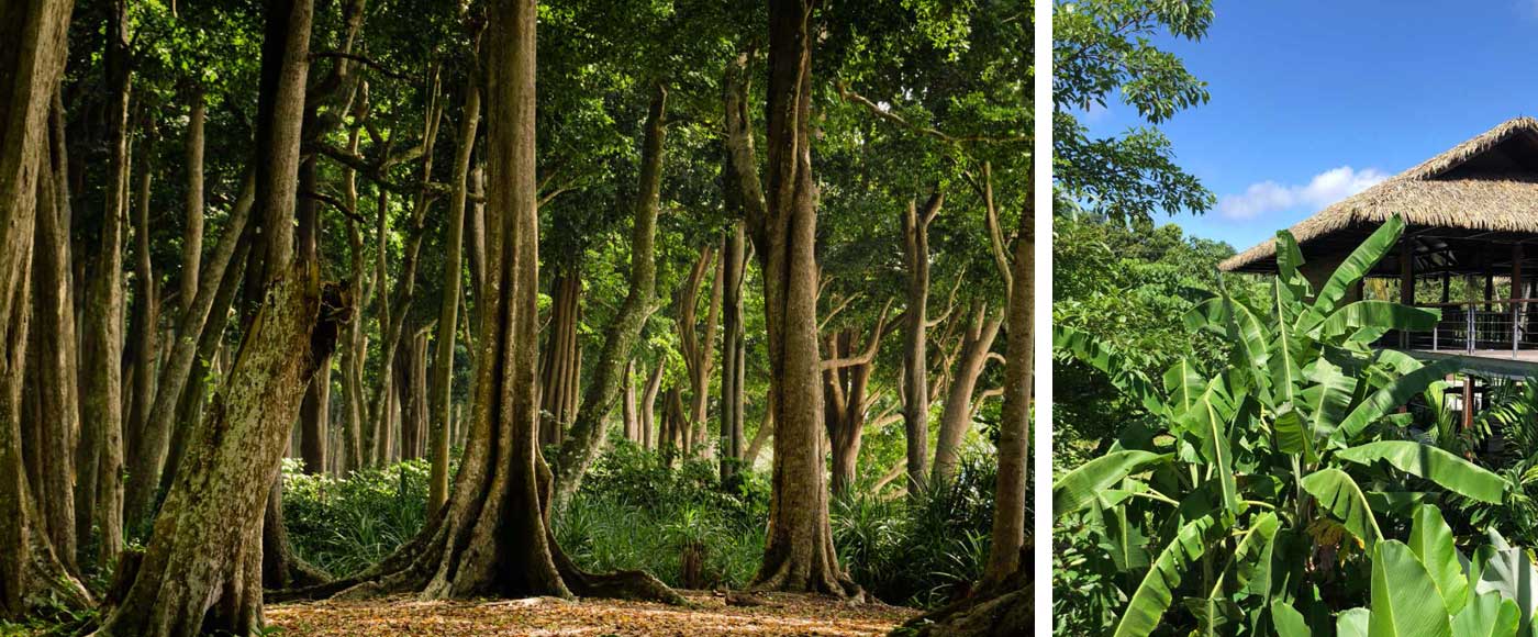 Andaman Island Tour