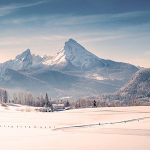 Aleksi - Tripadvisor