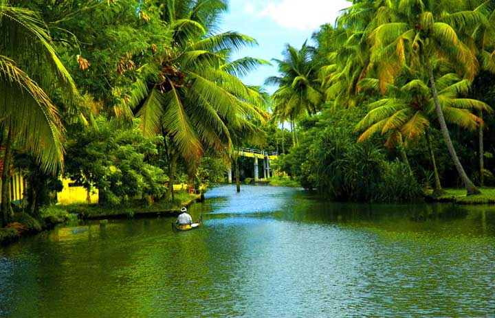 kerala backwaters2