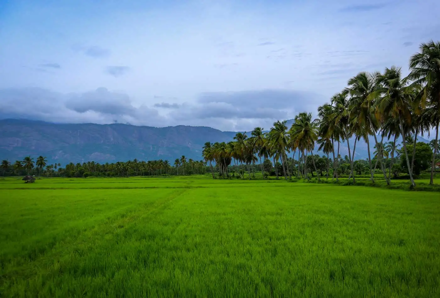 Kerala