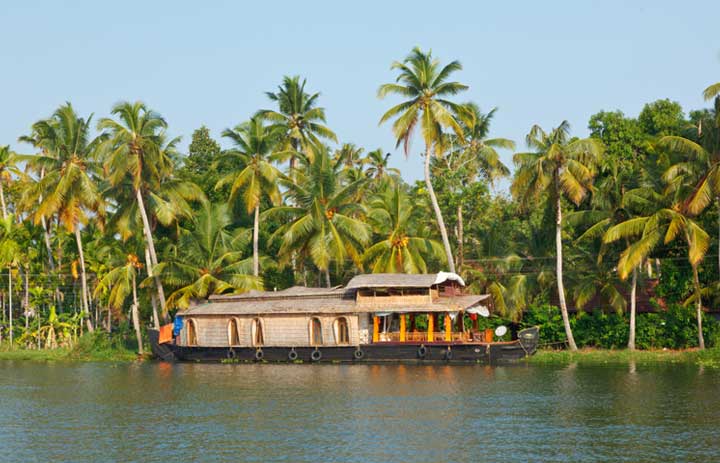 Top Honeymoon Destinations in Kerala for Adventure Couples