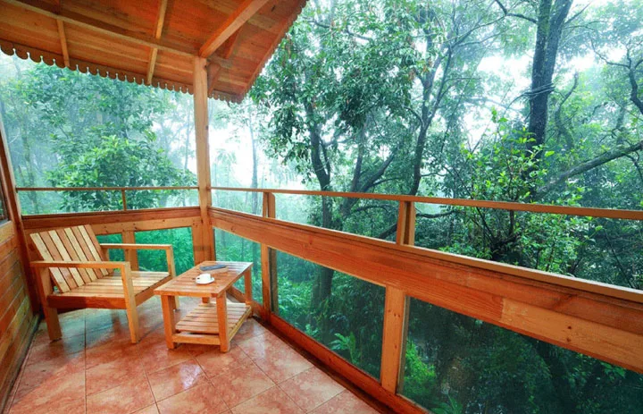 misty mountain plantation resort