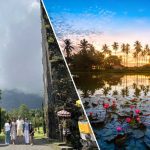 bali or kerala which tropical paradise should you choose