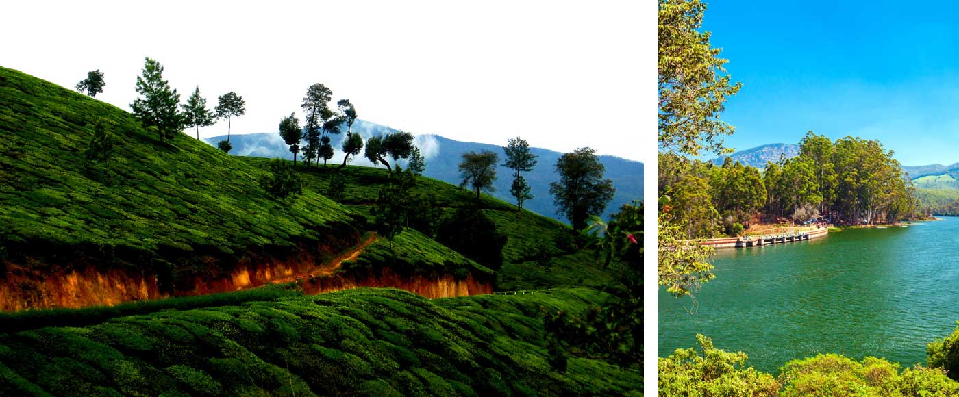 munnar munnar