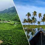 Kerala’s Official Munnar & Alleppey Tour Partner | Award-Winning Local Expert