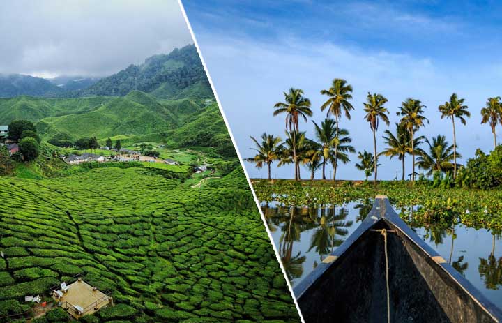Kerala’s Official Munnar & Alleppey Tour Partner | Award-Winning Local Expert