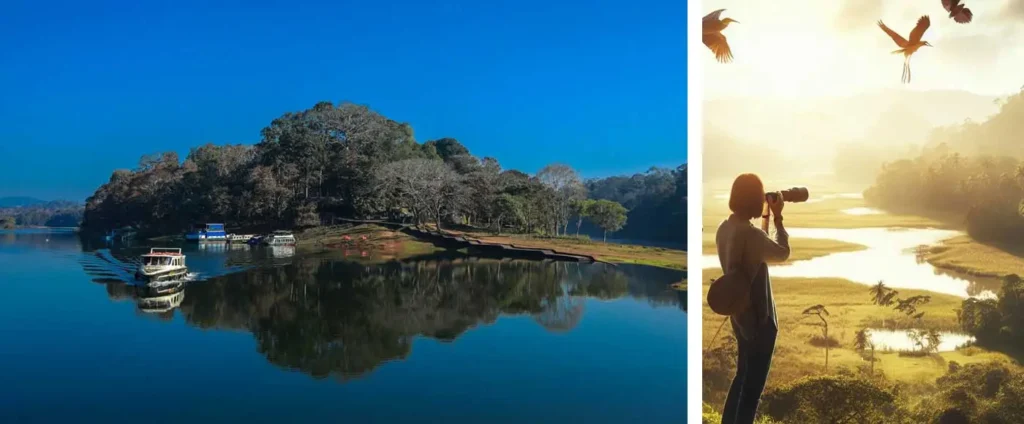 Kerala’s Hidden Gems in the Western Ghats: A Comprehensive Traveller’s Guide for A Memorable Kerala Trip