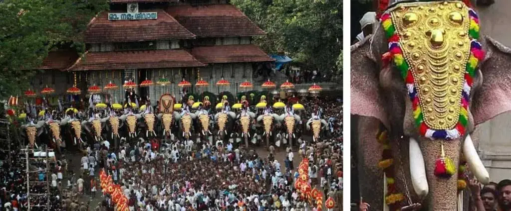Cultural Delights: Best Tourist Places in Kerala for Heritage and Tradition