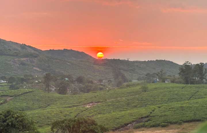 Kuttikanam