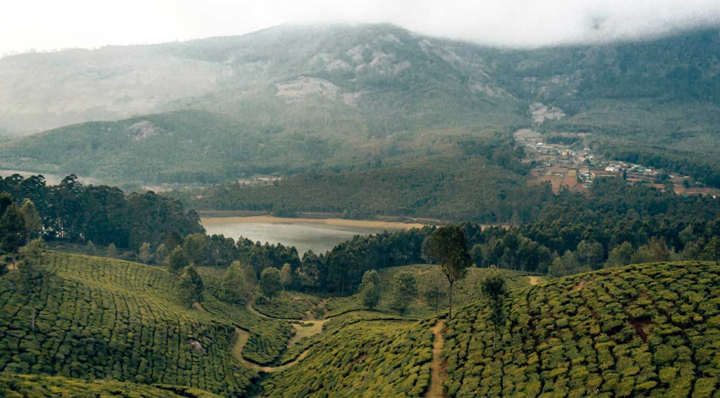 Munnar Munnar